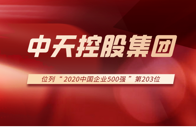 控股集团列2020中国企业500强第203位！